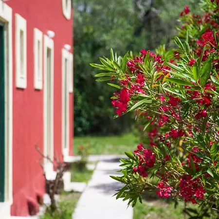Lefkes Sidari Canal D'amour 3 - New Era Homes In Sidari Corfu Apartment